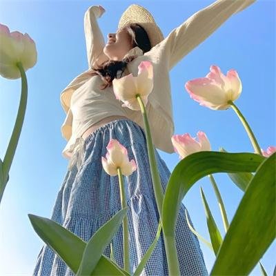 浴火之森海报