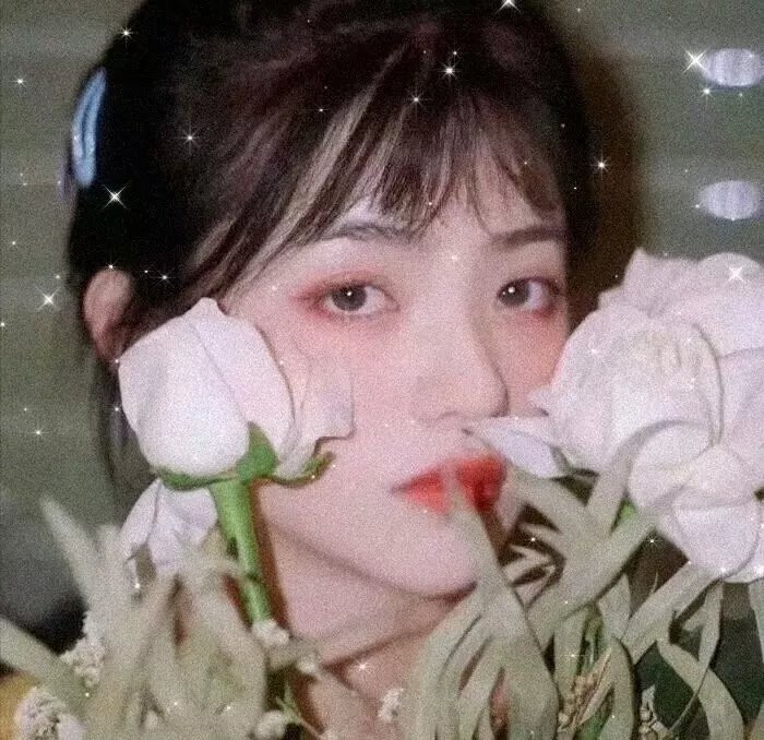 万物生灵