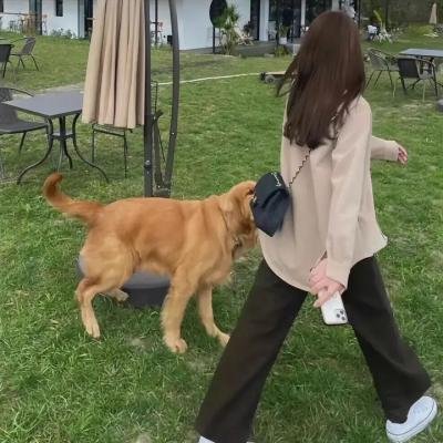 高尔夫球也疯狂